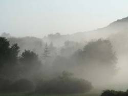 Morning Mist Photo: Clare Lise Kelly