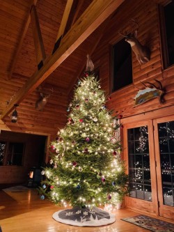 Beautiful Christmas Tree Photo: Paul Arnold