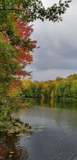 Fall foliage Photo: Mary Heide