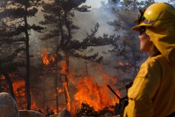 Prescribed Fire Photo: Joel R. Carlson