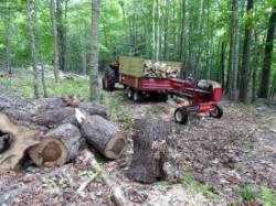 Firewood Photo: Gordon Gould