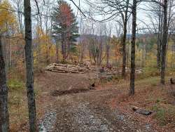 Log landing Photo: Steve Eustis