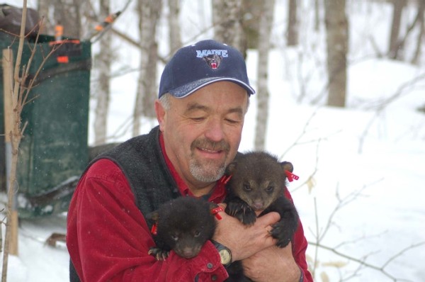 Lonnie Jandreau: From Forestry to Photography in the Maine Woods