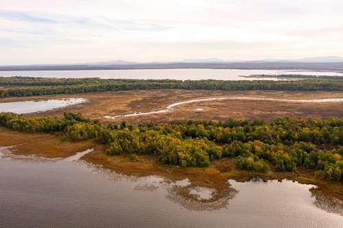 Missisquoi River delta