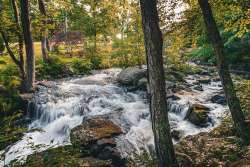 Rushing water Photo: Bonnie Monzeglio