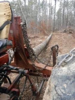 Sawlog Photo: CJ Frankiewicz