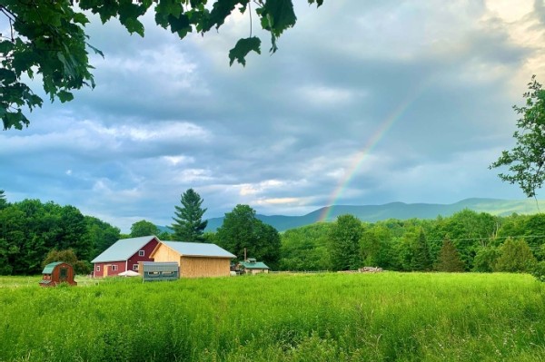 Steve Hagenbuch Manages the Forests for the Birds