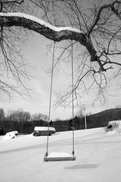 Winter swing Photo: Robert Schneider