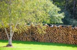 Woodpile Photo: Ann Miller