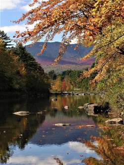 Cascade Brook Photo: Michael Czarnecki