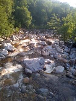 Green mountain forest Photo: CJ Frankiewicz