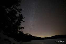 Perch Pond Photo: Eric D'Aleo