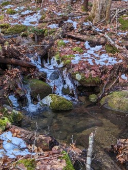Ice flow Photo: James Hume