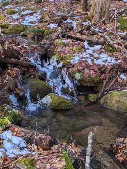 Ice flow Photo: James Hume