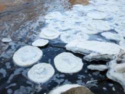 Ice pancakes Photo: Thomas Crowley