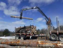 Logging Photo: C.J. Frankiewicz