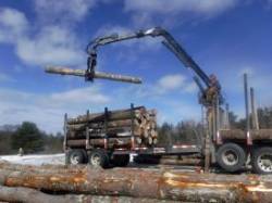 Logging Photo: C.J. Frankiewicz