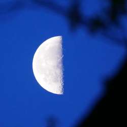 Third quarter moon Photo: Amy Quist