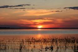 Blazing sun Photo: Leif Tillotson