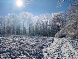 Ice crystals Photo: Kendra Ritchie