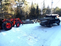 Logging Photo: Gordon Gould