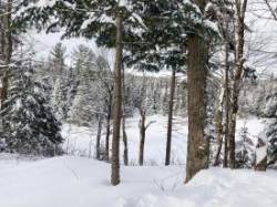 Snowy adirondacks Photo: Tom Grett