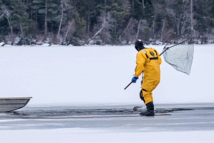 Loon rescue