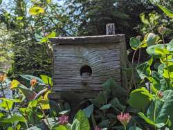 Bird box Photo: Katherine Cook