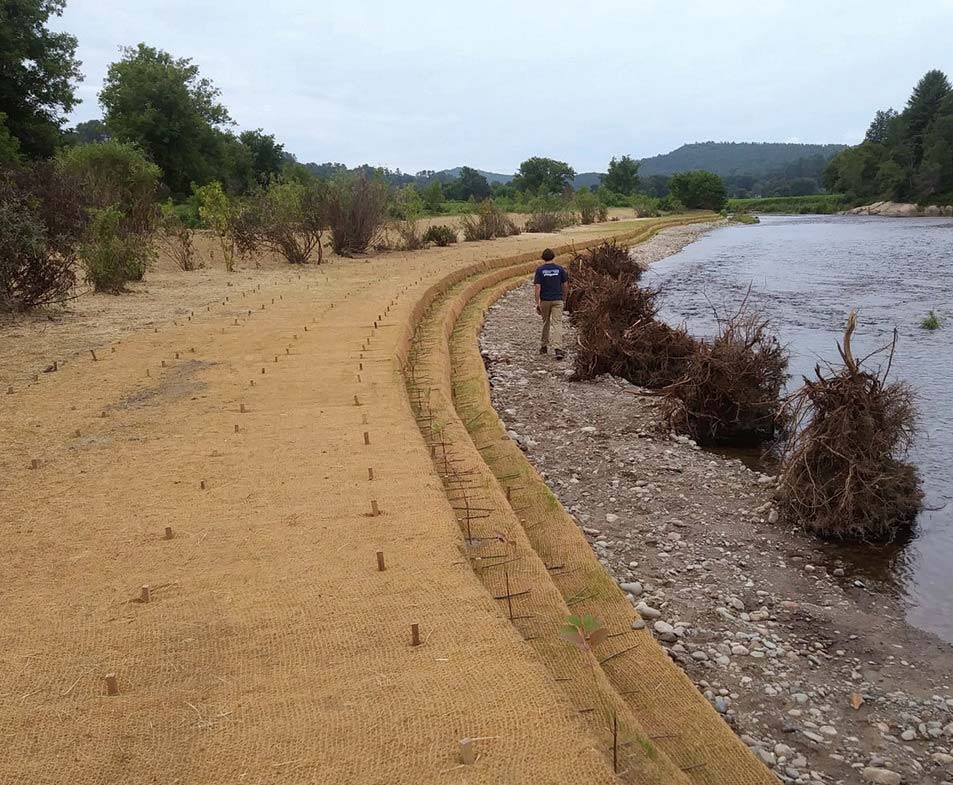 Floodplain Forests: Nature’s Flood Relief