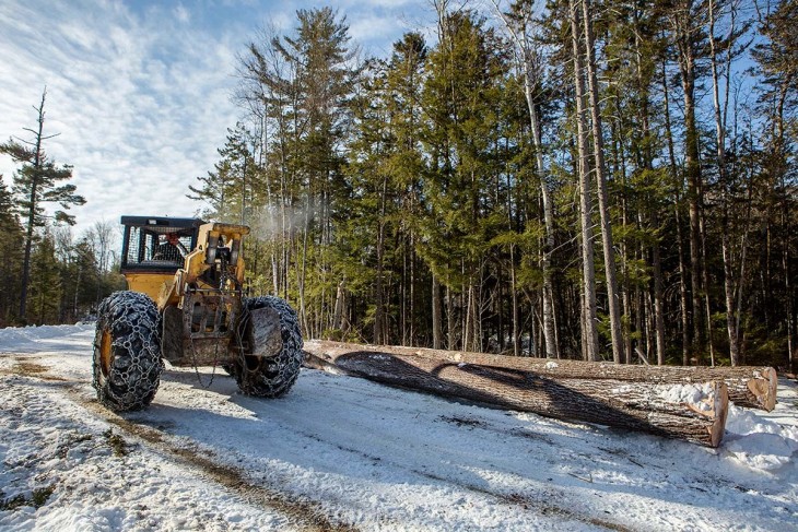 Winter logging