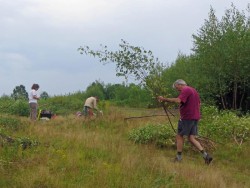 Saplings Photo: Greater Worcester Land Trust