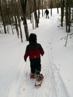 Snowshoeing in Woods Photo: Nancy Allen
