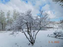 Spring Snowfall Photo: Sheryl M. Gebauer