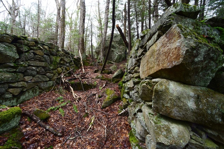 Stone Records in a Rewilding Landscape