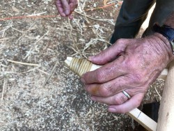 Building a Birchbark Canoe