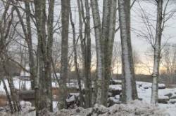 Western Light Photo: Matthew Cekuta