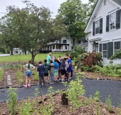 Garden visitors Photo: Emily S. Rowe