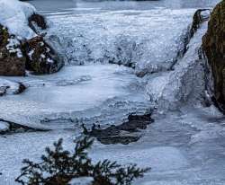 Ice shelves Photo: Steven Arcone