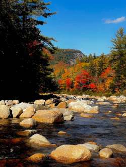 Swift River Photo: Larry Stolte