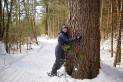 Hugging tree Photo: Tom Grett