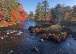 Foliage Photo: Karen Goulet