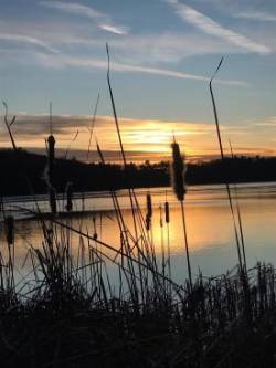 Peaceful Sunset Photo: Heather