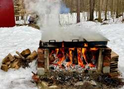 Backyard boiling Photo: Karinne Heise