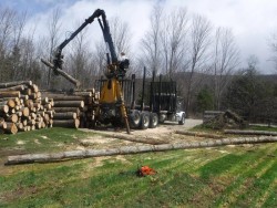 Big Saw Log Photo: C.J. Frankiewicz