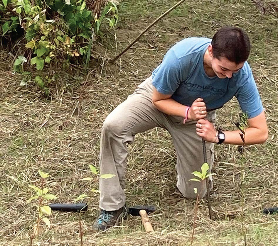 Floodplain Forests: Nature’s Flood Relief