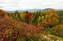 Foliage Photo: Ken Hatch