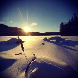 7_good_bye_sun_vt_tiffany_soukup_w.jpg