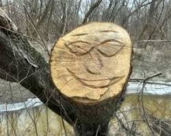 Happy stump Photo: Sheri Larsen