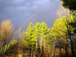 Golden rainbow Photo: Sheri Larsen