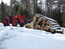 Logging Photo: Gordon Gould